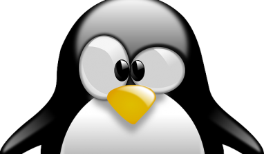 20 Linux commands you should know !